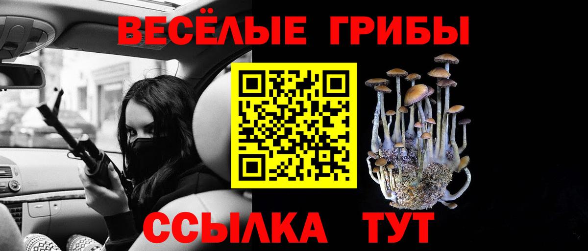 Азнакаево  Псилоцибиновые грибы MAGIC MUSHROOMS  Вход с VPN  Галлюциногенные грибы MAGIC MUSHROOMS 